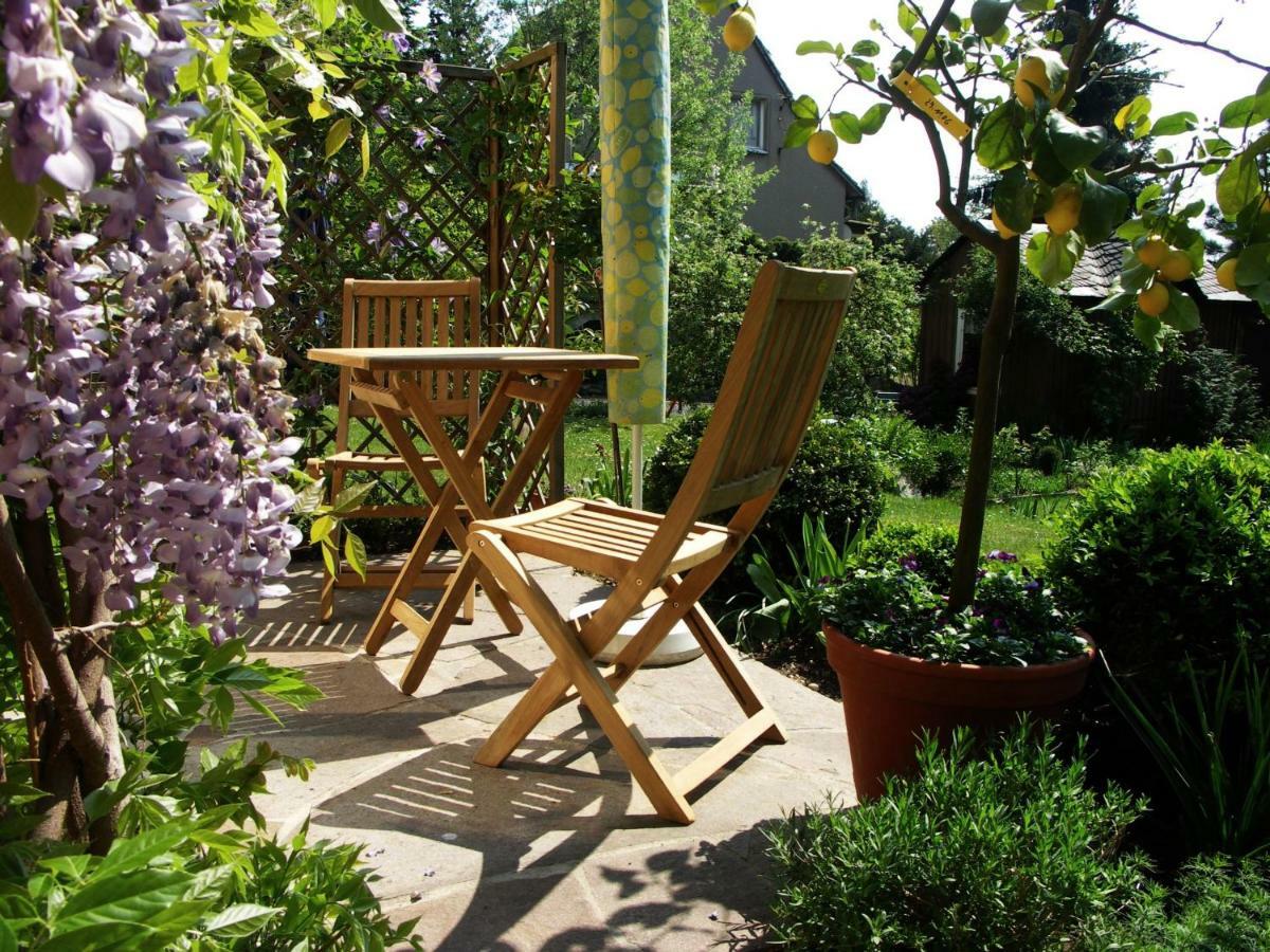 Ferienwohnung Am Dresdner Elbhang Dresden Bagian luar foto